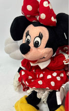 Load image into Gallery viewer, Set Of 2 Pcs Disney Minnie Mouse Multicolor Stuffed Animals Plush Toy