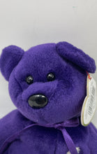 Load image into Gallery viewer, Ty Beanie Babies Erin & Princess Bear 2 Pcs Plush Toys Collection With Tags