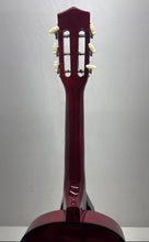 Load image into Gallery viewer, Rise By Sawtooth GP-PS-SB Brown Sunburst 6-String Classical Acoustic Guitar