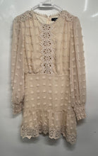 Load image into Gallery viewer, Lulus Womens Beige Lace Embroidered Long Sleeve Back Zip Mini Dress Size S