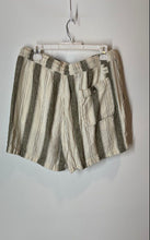 Load image into Gallery viewer, American Eagle Outfitters Mens Gray White Trekker Drawstring Chino Shorts Size L