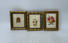 Load image into Gallery viewer, Set Of 3 Pcs Botanical Pressed Flower Art Wall Decorative Framed Artwork