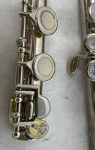 Load image into Gallery viewer, Silver-Tone Standard Design Closed Hole Concert Flute In Hard Case