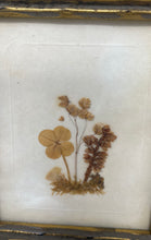 Load image into Gallery viewer, Set Of 3 Pcs Botanical Pressed Flower Art Wall Decorative Framed Artwork