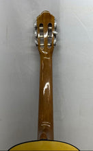 Load image into Gallery viewer, Pacific PSG 44ST Yellow 6 String Beginner Right Handed Acoustic Guitar