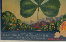 Load image into Gallery viewer, Shamrock 3 Leaf Clover Placentia Mutual Orange Assn 1915 Paper Original Poster