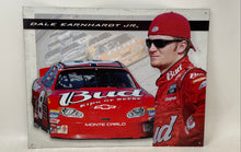 Load image into Gallery viewer, Dale Earnhardt Jr. #8 Budweiser NASCAR Auto Racing Metal Sign Monte Carlo