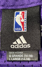 Load image into Gallery viewer, Adidas Boys Purple Phoenix Suns Steve Nash #13 NBA Basketball Jersey Size L
