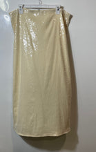 Load image into Gallery viewer, Divided By H&M Womens Beige Sequin Lined Side Zipper Maxi Skirt Size XL