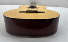 Load image into Gallery viewer, Palmer PC138NAT Beige Brown 6-String Acoustic Guitar In Case Musical Instrument