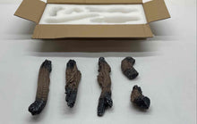 Load image into Gallery viewer, Lot Of 5 Pcs Resin Wooden Home Decor Brown Logs In Open Box