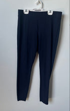 Load image into Gallery viewer, Old Navy Womens Stevie Blue Flat Front Skinny Leg Ankle Pants Size Large