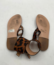 Load image into Gallery viewer, Schutz Womens Brown Leather Animal Print Flat Ankle Strap Sandals Size EU 36