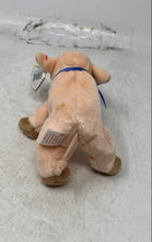 Load image into Gallery viewer, Set Of 2 Pieces Ty Green & Pink Beanie Baby Pig And Bear Plush Toys With Tags