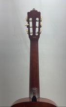 Load image into Gallery viewer, Palmer PC138NAT Beige Brown 6-String Acoustic Guitar In Case Musical Instrument