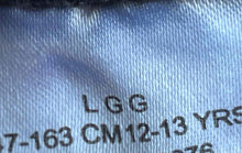 Load image into Gallery viewer, Jordan Boys Gray Flat Front Stretch Elastic Waist Pull On Athletic Shorts Size L