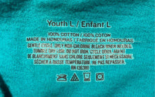 Load image into Gallery viewer, Girls Aqua Cotton NFL Miami Dolphins Short Sleeve Cropped Graphic T-Shirt Size L