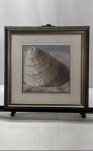 Load image into Gallery viewer, Classic Pearly Conical Spiral Seashell Framed Art Print Signed By Christine E.