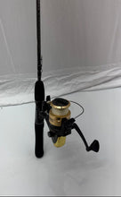 Load image into Gallery viewer, Shakespeare Cirrus Black And Gold Freshwater Fishing Spinning Rod & Reel Combo