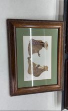 Load image into Gallery viewer, Set Of 3-Piece Assorted Abstract Art Of Pressed Dry Leaves Home Decorative Frame