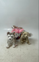 Load image into Gallery viewer, Set Of 5 Pcs Ty Beanie Baby Collectible Stuffed Animals Plush Toys With Tags