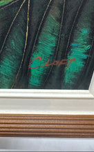 Load image into Gallery viewer, Framed Tropical Rainforest Birds On The Tree Art Painting By C. Loft