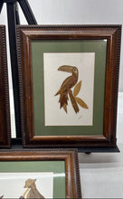 Load image into Gallery viewer, Set Of 3-Piece Assorted Abstract Art Of Pressed Dry Leaves Home Decorative Frame