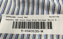 Load image into Gallery viewer, Express 1MX Mens Gray Blue Striped Extra Slim Dress Shirt Size XS 13-13.5