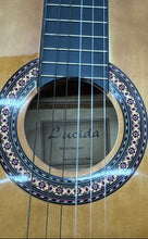 Load image into Gallery viewer, Lucida Brown 6-String Right-Handed Classical Acoustic Guitar With Carrying Case