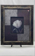 Load image into Gallery viewer, Home Decor Wall Hanging Framed White Splendor II Tulip Flower Art Print