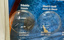 Load image into Gallery viewer, Toys Rus Edu Science Collectibles Collection Authentic Fossil Kit