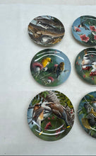 Load image into Gallery viewer, Knowles Kevin Daniel 9-Piece Collectable Birds Ceramic Wall Hanging Plates