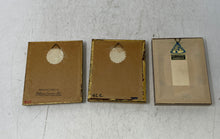 Load image into Gallery viewer, Set Of 3 Pcs Botanical Pressed Flower Art Wall Decorative Framed Artwork
