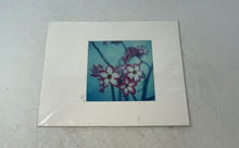 Load image into Gallery viewer, Crescent Matted Photograph Of Impala Lily Flowers It's Not Painting