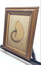 Load image into Gallery viewer, Nautilus Shell Framed Decorative Canvas Oil Painting Wall Art By Cooper