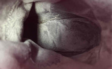 Load image into Gallery viewer, Eternal Womens Pink Suede Pointed Toe Stiletto Heel Ankle Booties Size EU 36