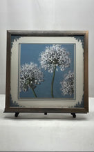 Load image into Gallery viewer, Framed Three Alliums By Assaf Frank White Flowers Wall Decor Art Print