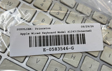 Load image into Gallery viewer, Apple Silver White USB Wired Standard Keyboard Model A1243 Untested