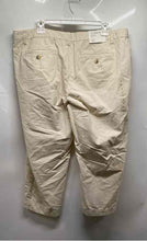 Load image into Gallery viewer, Gap Womens Beige Pinstriped Cotton Cropped Chino Pants Size 16 With Tag