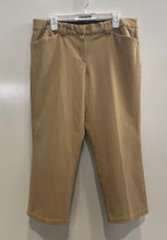 Load image into Gallery viewer, Express Womens Editor Dark Khaki Flat Front Pockets Cropped Pants Size 12