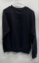 Load image into Gallery viewer, BoxLunch Unisex Black Universal Studios Wicked Elphaba Pullover Sweatshirt Sz M