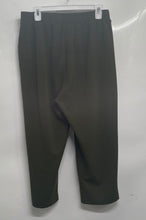 Load image into Gallery viewer, Loft Womens Green Pleated Front Pockets Elastic Waist Ankle Pants Size LP Petite