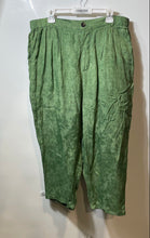 Load image into Gallery viewer, Zara Womens Green Pleated Front Straight Leg Pockets Ankle Pants Size XL
