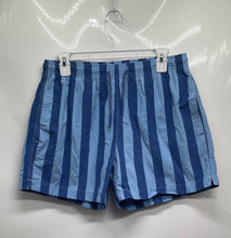 Load image into Gallery viewer, Zara Mens Blue Striped Elastic Waist Swim Shorts Size Medium
