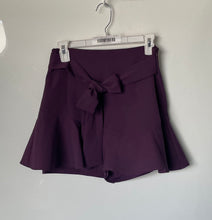 Load image into Gallery viewer, Zara Womens Purple Tie Waist Flounce Hem Side-Zip A-Line Skort Size Small
