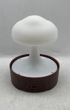 Load image into Gallery viewer, Brookstone Rain Cloud Fountain Diffuser With Wireless Speaker Not Tested In Box
