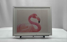 Load image into Gallery viewer, Wall Hanging Home Decor Multicolor Flamingo Square Framed Art Painting
