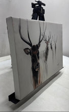 Load image into Gallery viewer, Oimax DV Deer Picture Signed Wall Hanging Home Decor Art Painting
