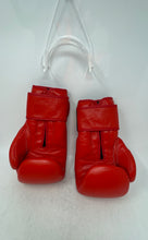 Load image into Gallery viewer, YAG Mens Red Leather Punching Sparring Beginners Training 12oz Boxing Gloves

