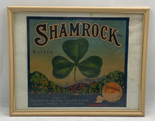 Load image into Gallery viewer, Shamrock 3 Leaf Clover Placentia Mutual Orange Assn 1915 Paper Original Poster
